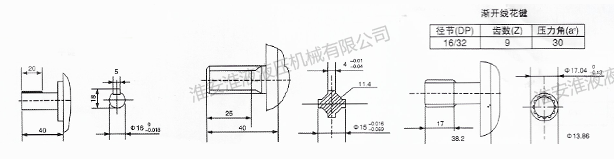 CBN-F300双联泵系列